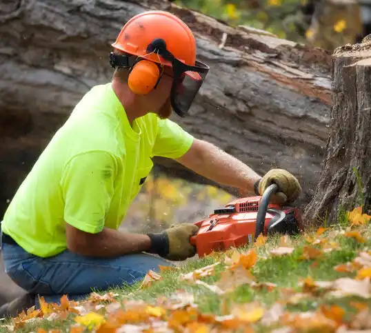 tree services Village Green